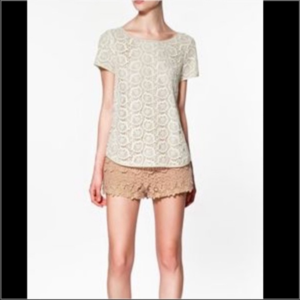 Zara Lace Top Shell Blouse Exposed Zip Sheer Floral